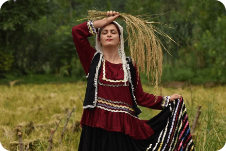گردشگران روجابوم