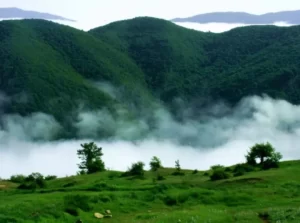 مکان های دیدنی لفور جنگل لفور