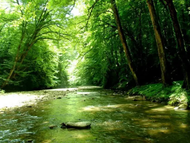 مکان های دیدنی لفور پلنگ دره